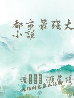 都市最强大脑 小说