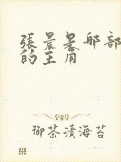 张晨是哪部小说的主角