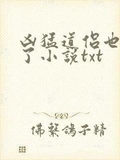 凶猛道侣也重生了小说txt 凶猛道侣也重生了小说txt