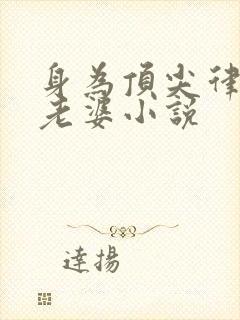 身为顶尖律师的老婆小说