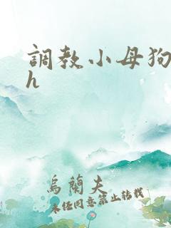 调教小母狗小说h