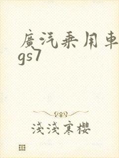 广汽乘用车传祺gs7 广汽乘用车传祺gs7