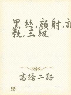 黑丝,颜射,调教,三级