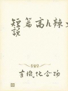 短篇高h辣文小说