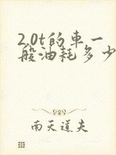 2.0t的车一般油耗多少