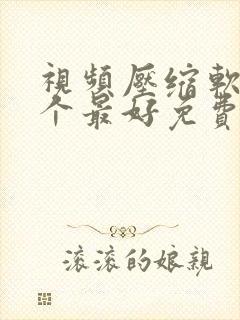 视频压缩软件哪个最好免费下载