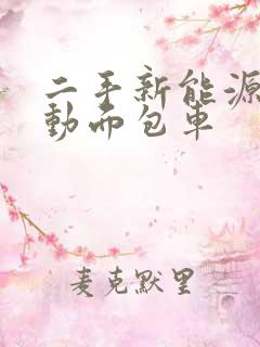 二手新能源纯电动面包车
