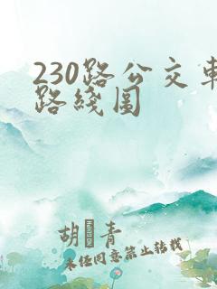 230路公交车路线图