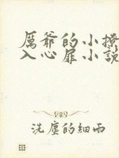 厉爷的小撩精甜入心扉小说免费看
