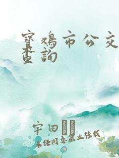 宝鸡市公交实时查询