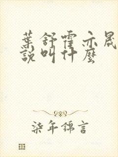 叶舒霍亦晟的小说叫什么