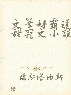 文笔好霸道总裁甜宠文小说