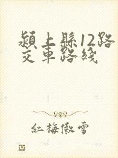 颍上县12路公交车路线