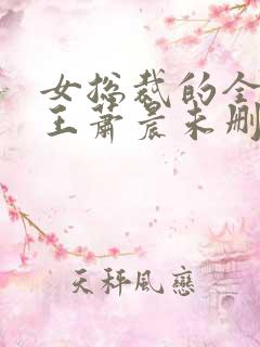 女总裁的全能兵王萧晨未删减版 女总裁的全能兵王萧晨未删减版
