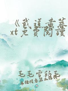 《武道黄蓉》txt免费阅读