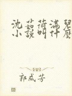 沈茹荷满儿原著小说叫什么名字