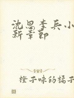 沈思李兵小说最新章节