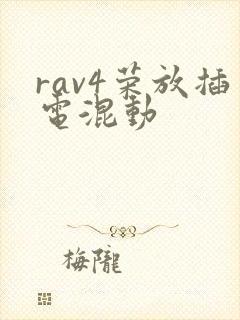 rav4荣放插电混动