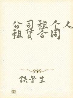 公司租个人汽车租赁合同