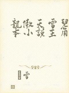 龙傲天雪儿是哪本小说主角