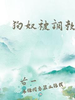 狗奴被调教小说