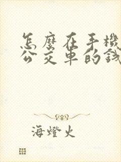 怎么在手机上付公交车的钱