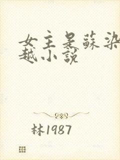 女主是苏染的穿越小说