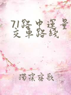 71路中运量公交车路线