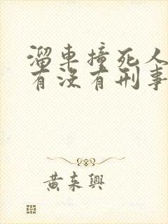 溜车撞死人车主有没有刑事责任