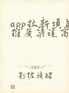 app拉新项目推广渠道商
