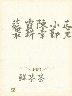 苏霞陈小正小说最新章节免费阅读