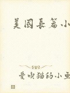 美国长篇小说