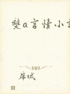 双a言情小说