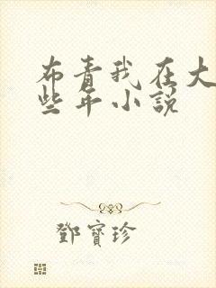 布青我在大明那些年小说