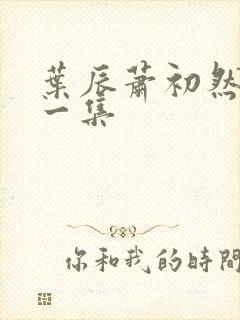 叶辰萧初然最后一集
