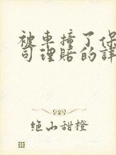 被车撞了保险公司理赔的详细流程