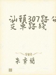 汕头307路公交车路线 汕头307路公交车路线