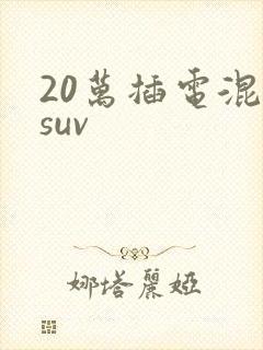 20万插电混动suv