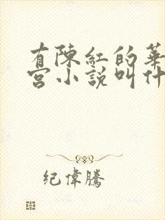 有陈红的华娱后宫小说叫什么