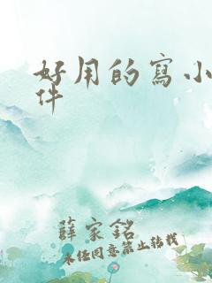 好用的写小说软件