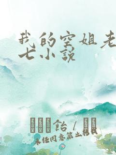 我的空姐老婆七七小说