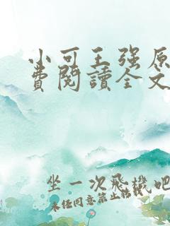 小可王强原文免费阅读全文最新章节