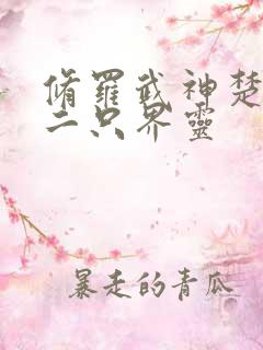 修罗武神楚枫第二只界灵