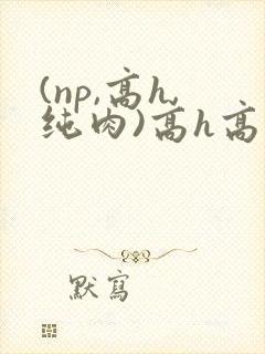 (np,高h,纯肉)高h高辣小说