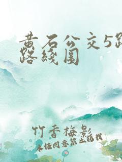黄石公交5路车路线图 黄石公交5路车路线图