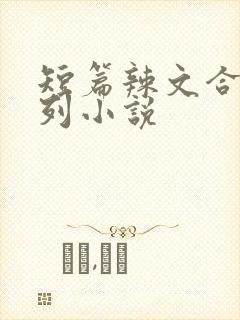 短篇辣文合集系列小说