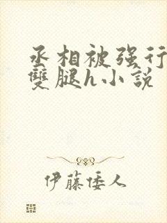 丞相被强行扒开双腿h小说