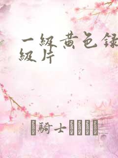 一级黄色录像一级片