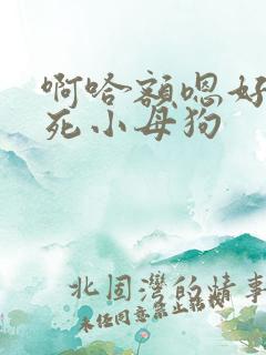 啊哈额嗯好骚爽死小母狗