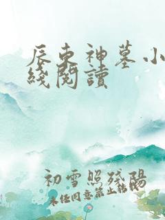 辰东神墓小说在线阅读